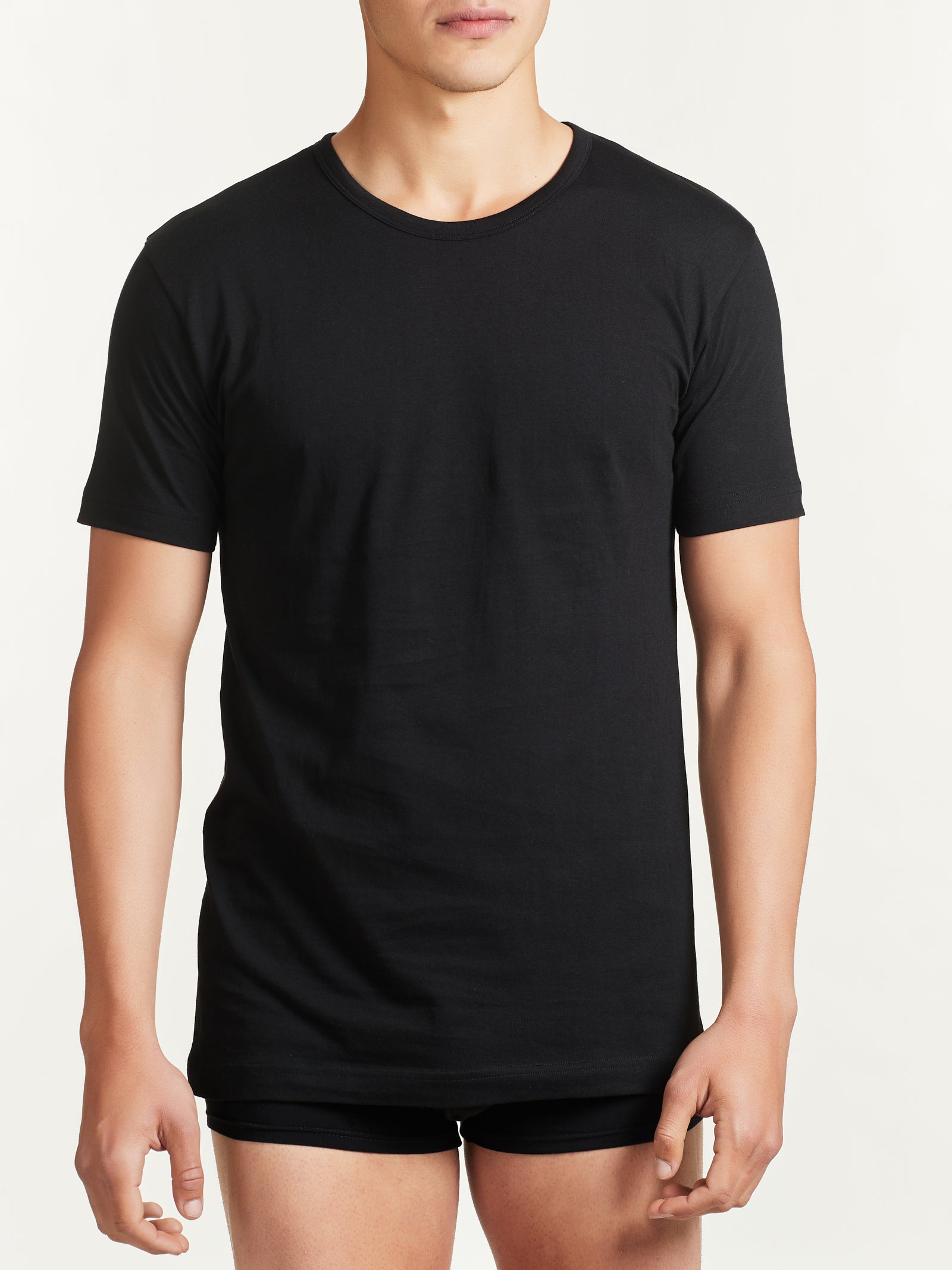100% Cotton - Maglietta girocollo in cotone  Neri Uomo - Ragno