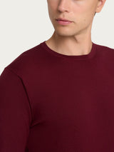 Pull girocollo Four Seasons Rossi Uomo - Ragno