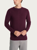 Pull girocollo Four Seasons Viola Uomo - Ragno
