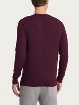 Pull girocollo Four Seasons Viola Uomo - Ragno
