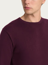 Pull girocollo Four Seasons Viola Uomo - Ragno