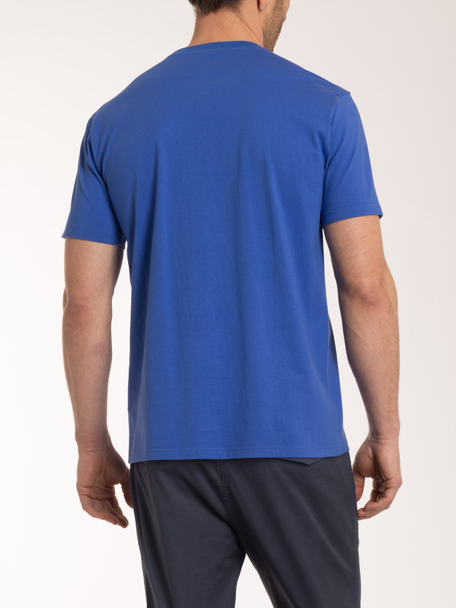 T-shirt girocollo in jersey di cotone Blu Uomo - Ragno