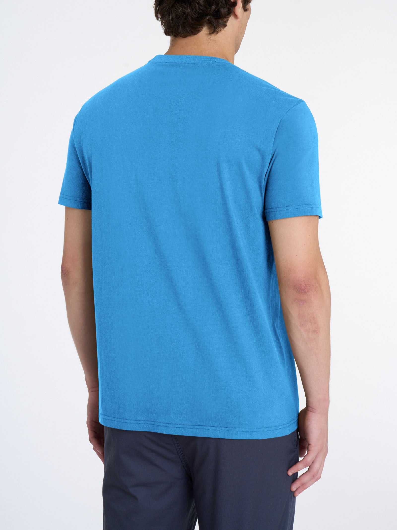 T-shirt girocollo in jersey di cotone Azzurri Uomo - Ragno