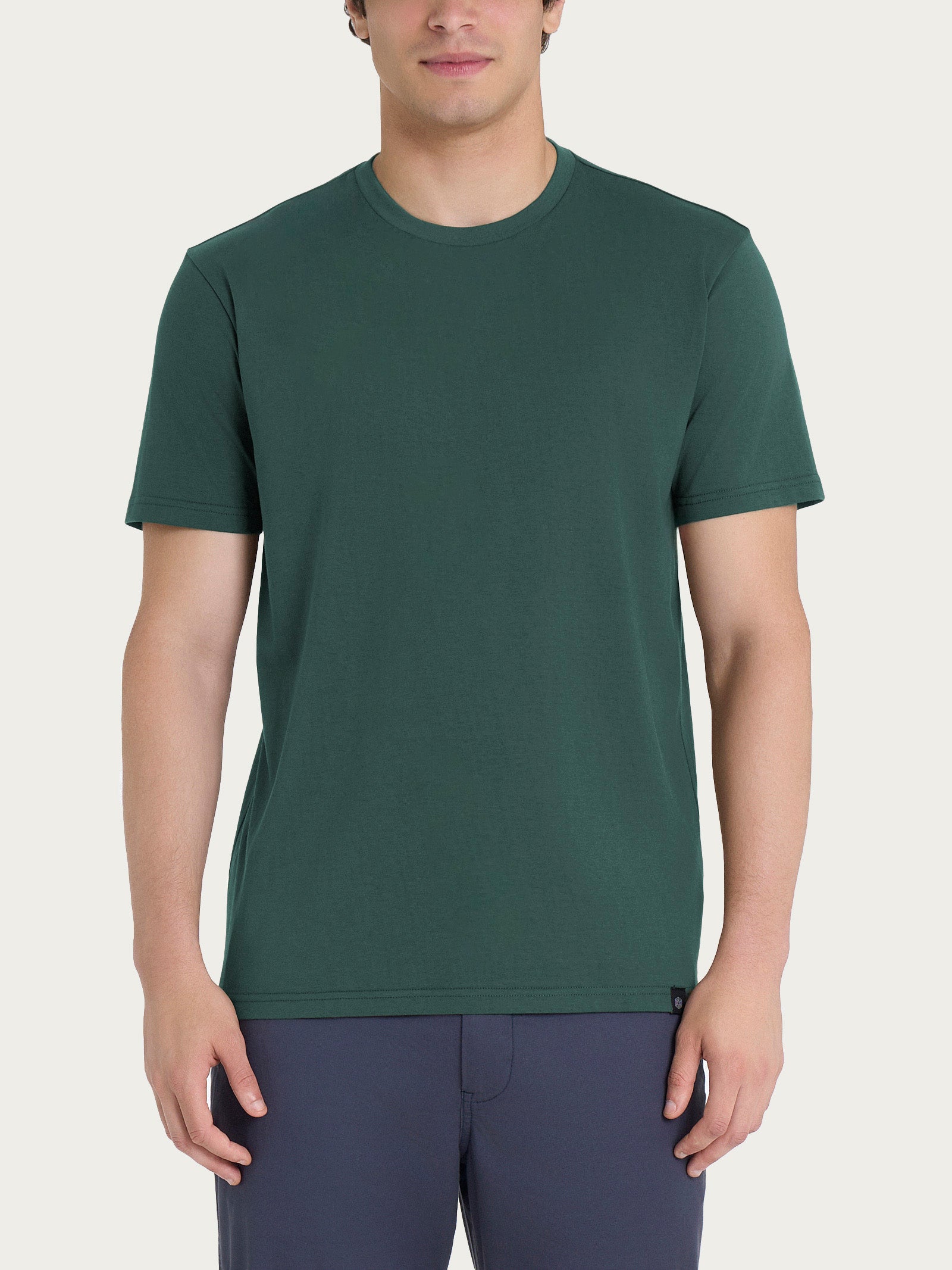 T-shirt girocollo in jersey di cotone Verdi Uomo - Ragno