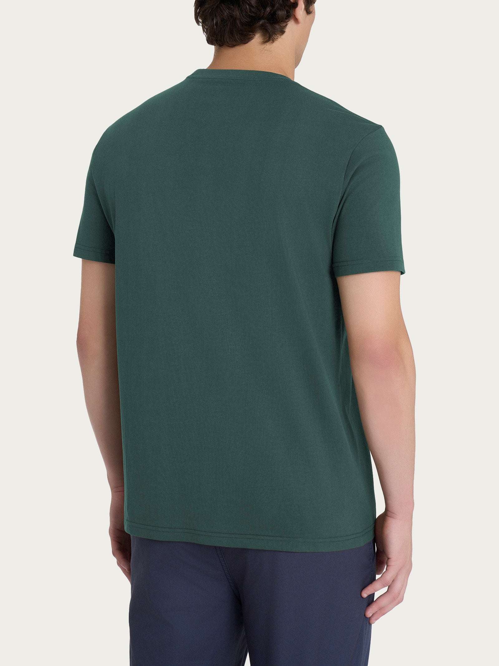 T-shirt girocollo in jersey di cotone Verdi Uomo - Ragno