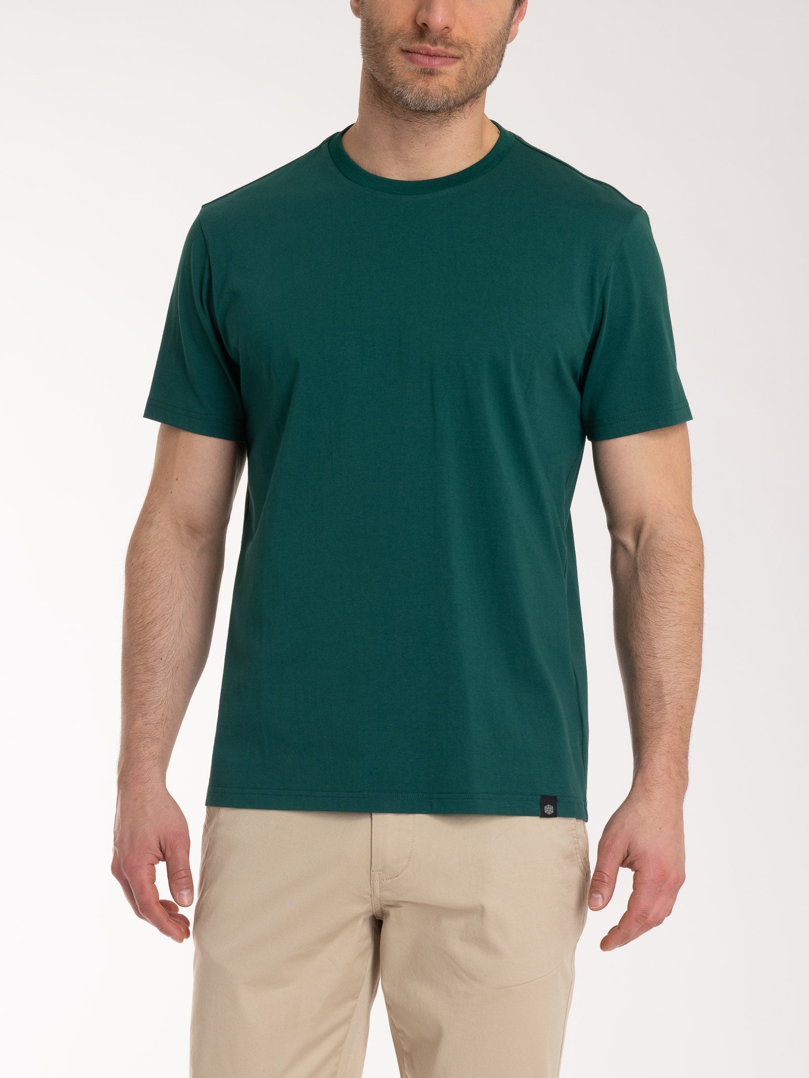 T-shirt girocollo in jersey di cotone Verdi Uomo - Ragno