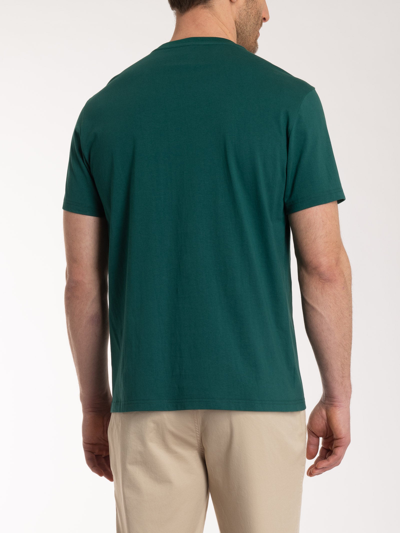 T-shirt girocollo in jersey di cotone Verdi Uomo - Ragno