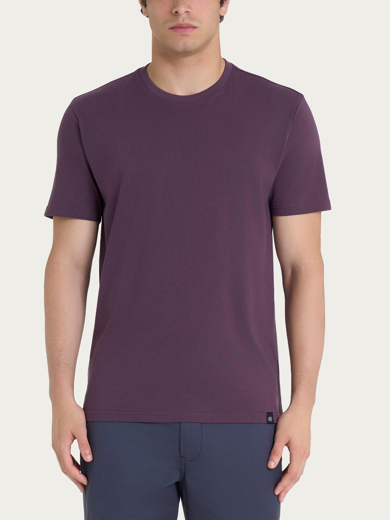 T-shirt girocollo in jersey di cotone Viola Uomo - Ragno