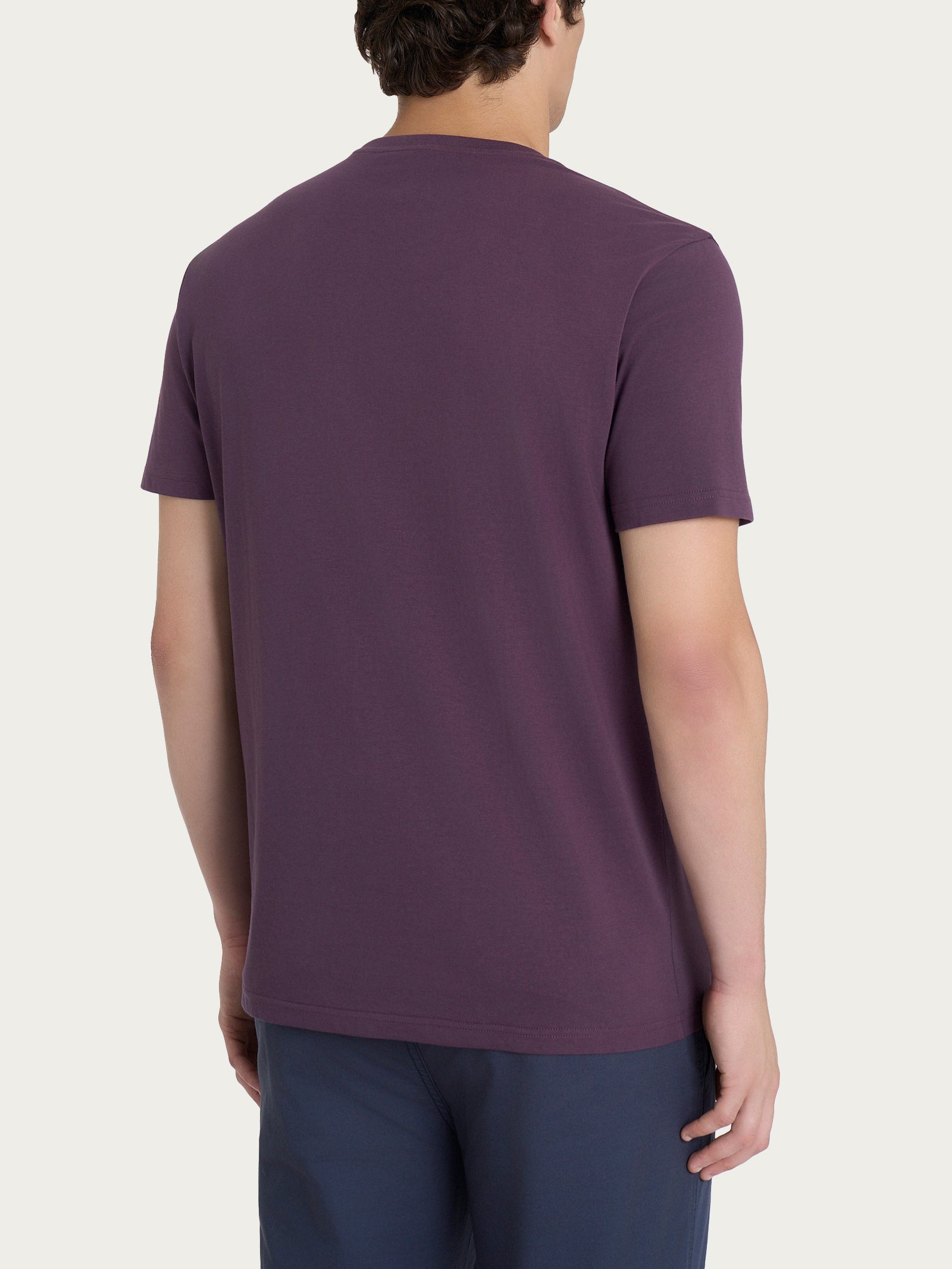 T-shirt girocollo in jersey di cotone Viola Uomo - Ragno