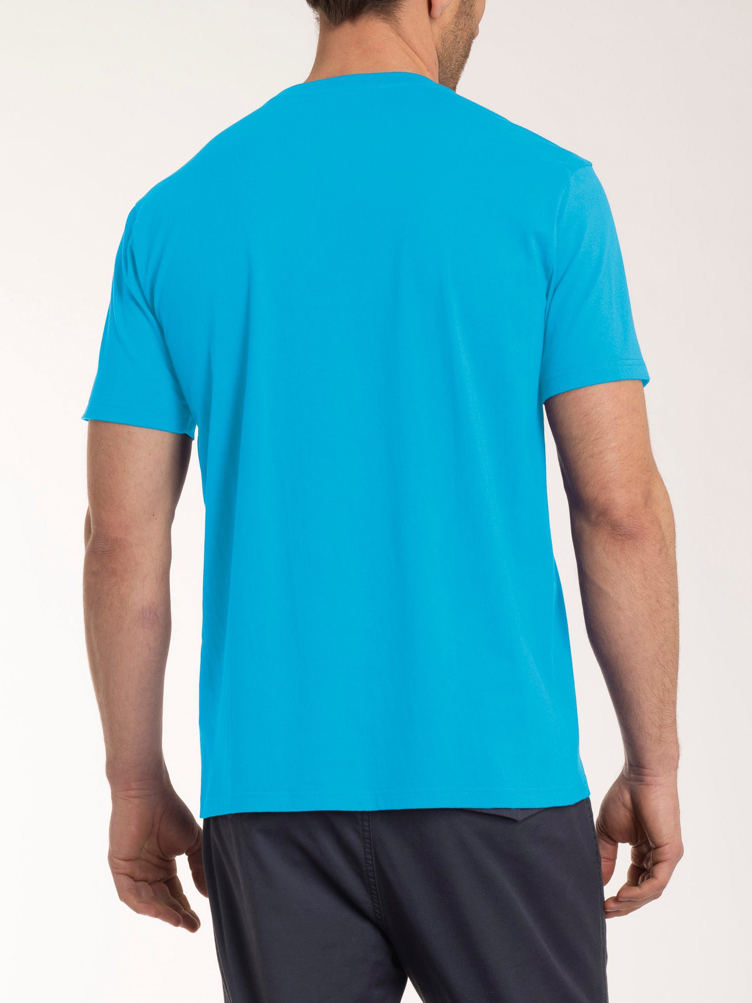 T-shirt girocollo in jersey di cotone Azzurri Uomo - Ragno