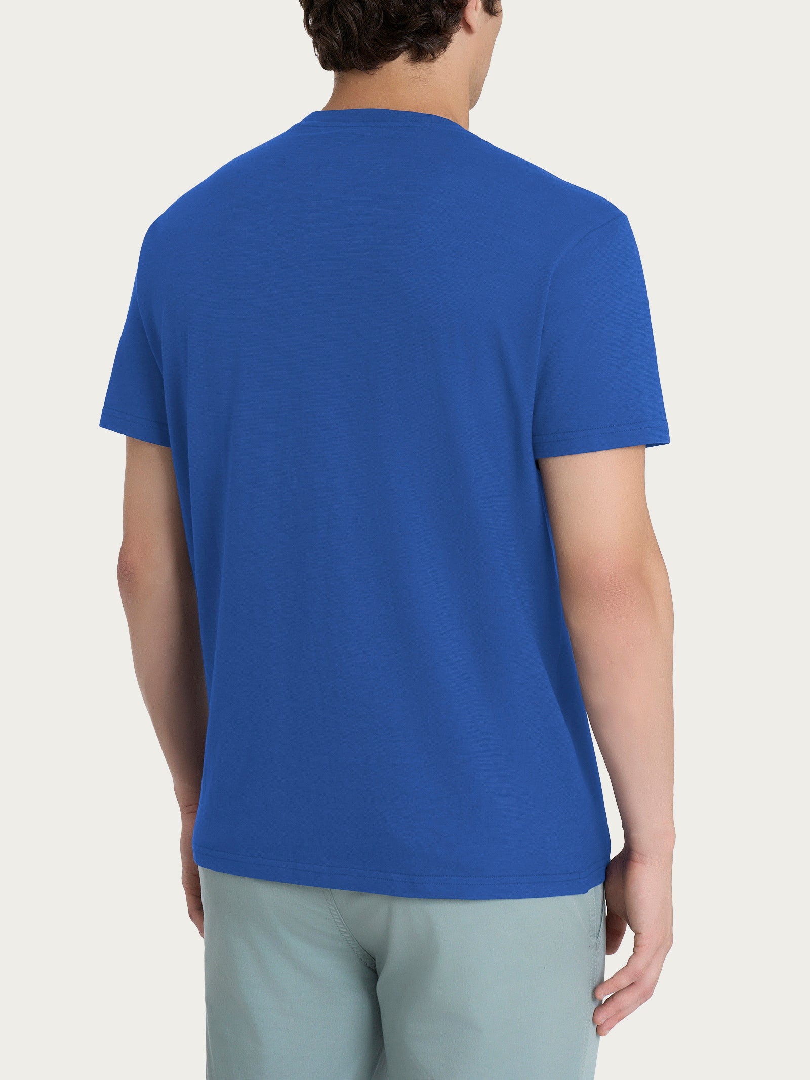 T-shirt girocollo in jersey di cotone Blu Uomo - Ragno
