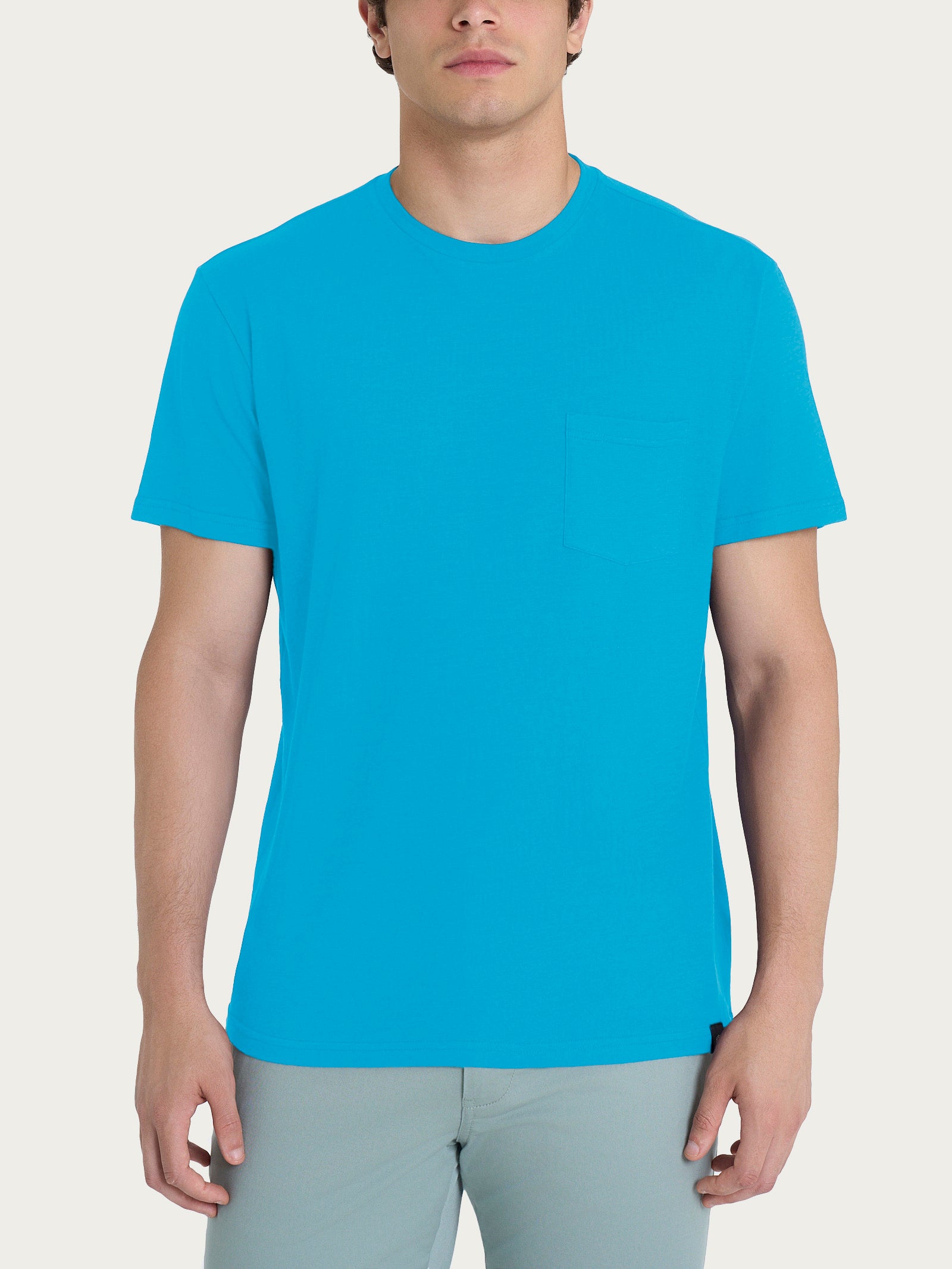 T-shirt girocollo in jersey di cotone Azzurri Uomo - Ragno