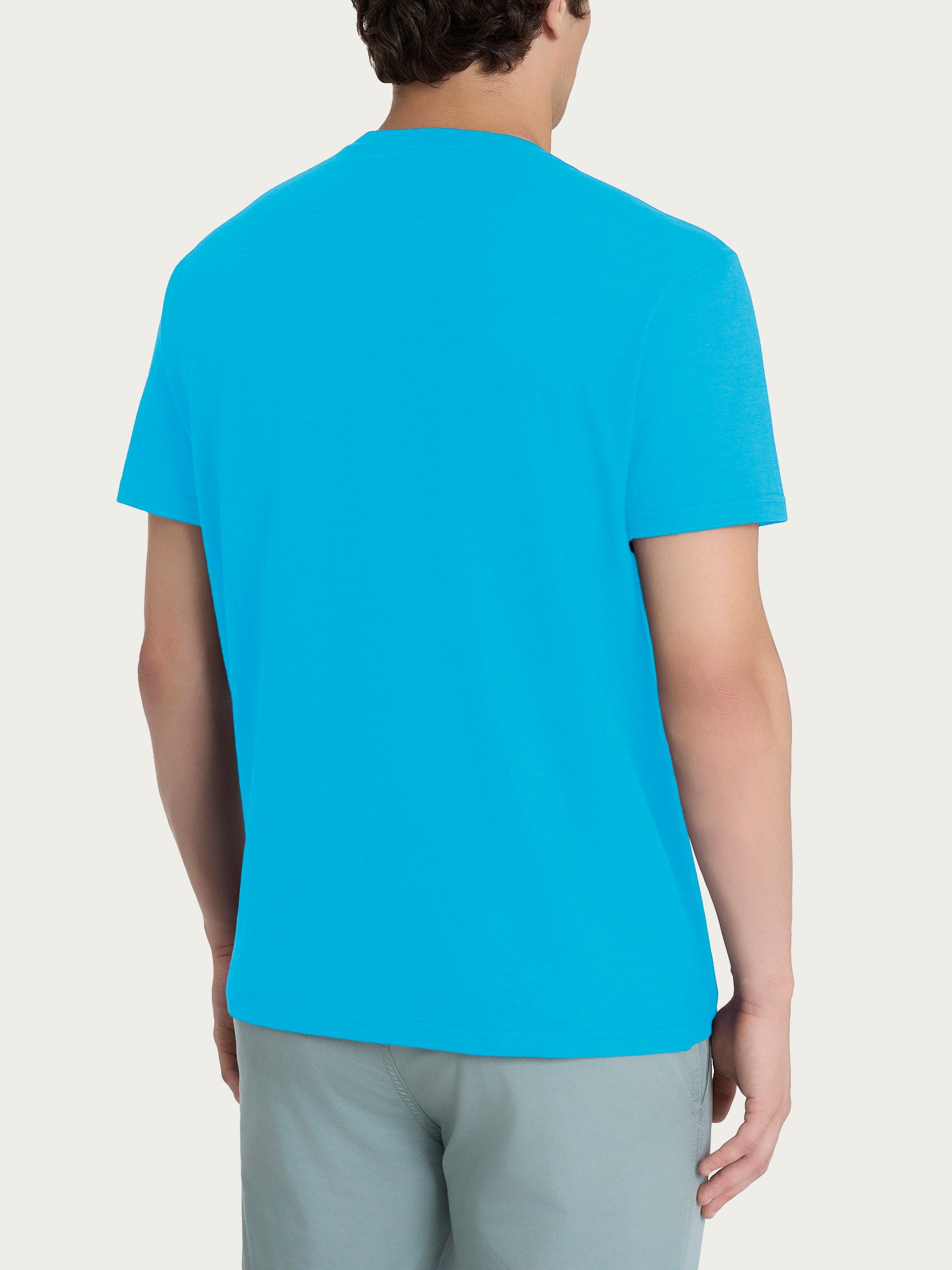 T-shirt girocollo in jersey di cotone Azzurri Uomo - Ragno