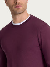 Pull girocollo a maglia unita in Merino Soft Viola Uomo - Ragno