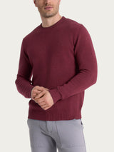 Pull girocollo in Winter Cotton Viola Uomo - Ragno