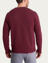 Pull girocollo in Winter Cotton Viola Uomo - Ragno