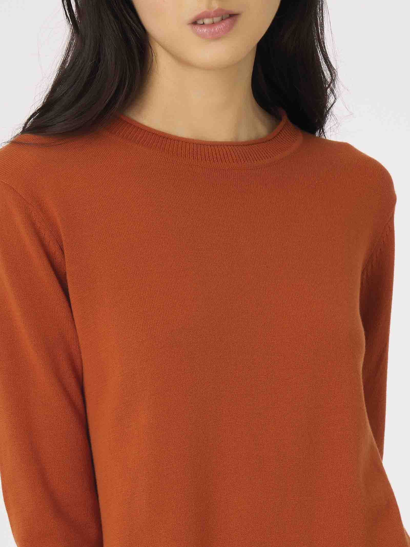 Maglia girocollo in Pure Cotton -  - Ragno