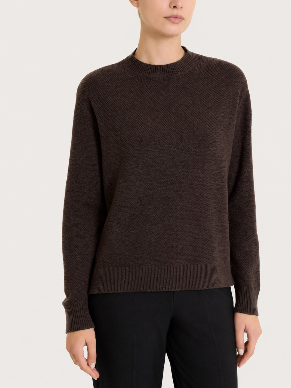 Maglia girocollo con punto riso in Soft Wool Marroni Donna - Ragno