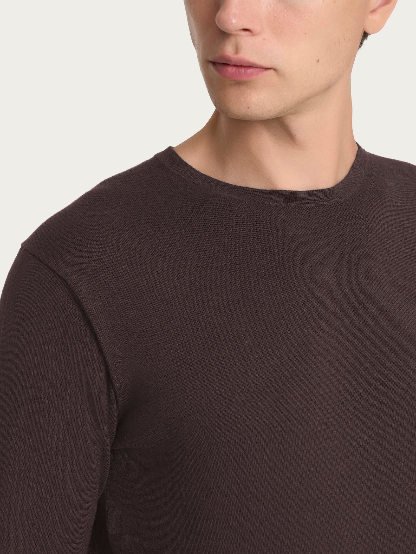 Pull girocollo Four Seasons Marroni Uomo - Ragno