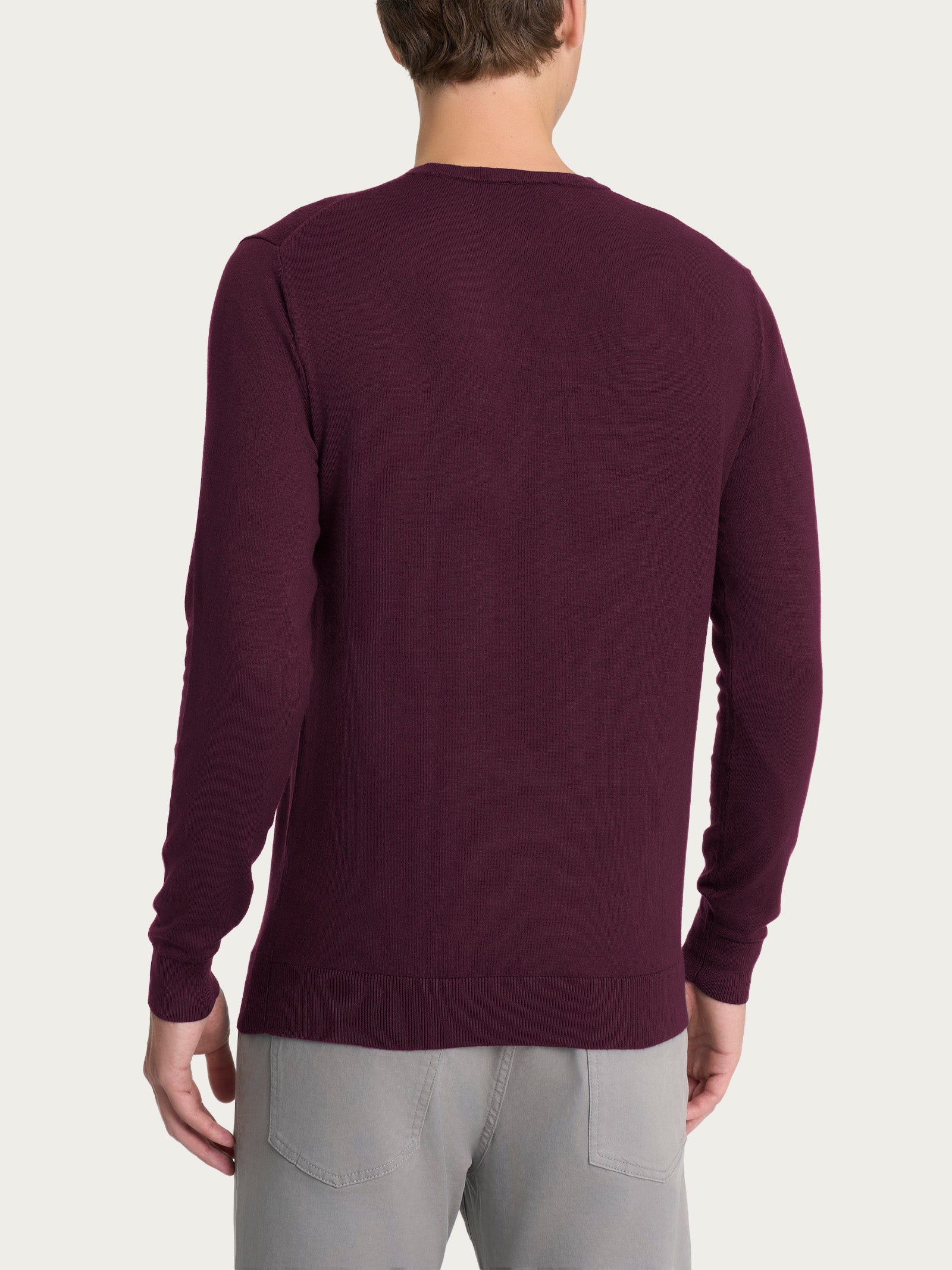 Pull girocollo Four Seasons Viola Uomo - Ragno