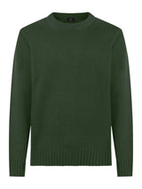 Pull girocollo in filato Nice Wool -  - Ragno