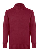 Pull in filato Nice Wool -  - Ragno