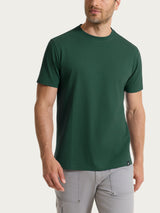 T-shirt girocollo in jersey di cotone Verdi Uomo - Ragno