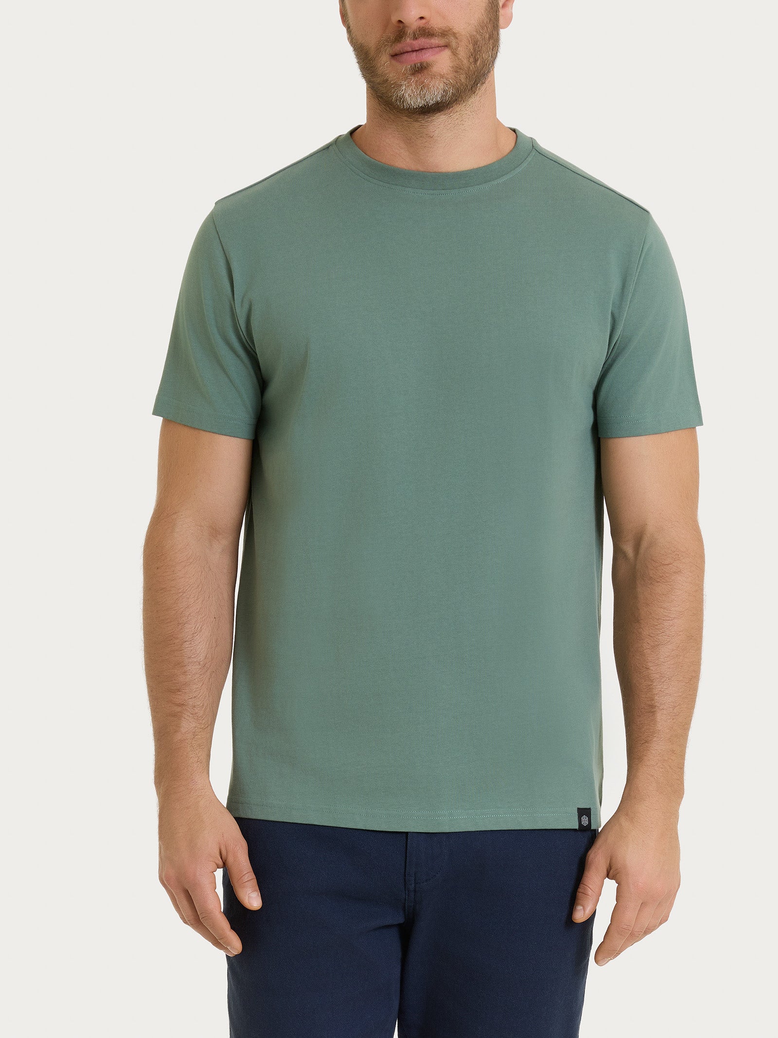 T-shirt girocollo in jersey di cotone Verdi Uomo - Ragno