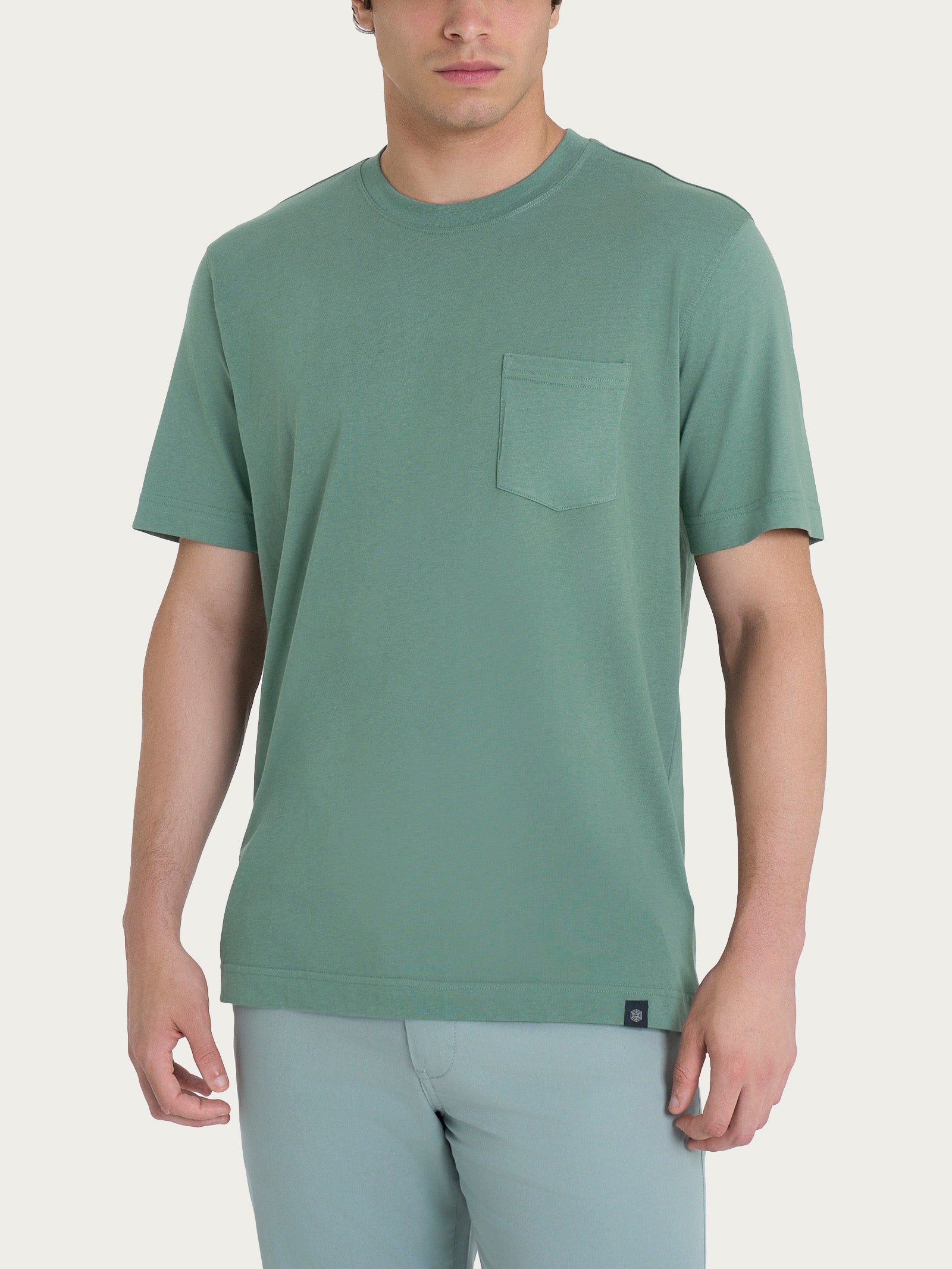 T-shirt girocollo con taschino in jersey di cotone Verdi Uomo - Ragno