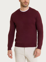 Pull girocollo in Winter Cotton Viola Uomo - Ragno