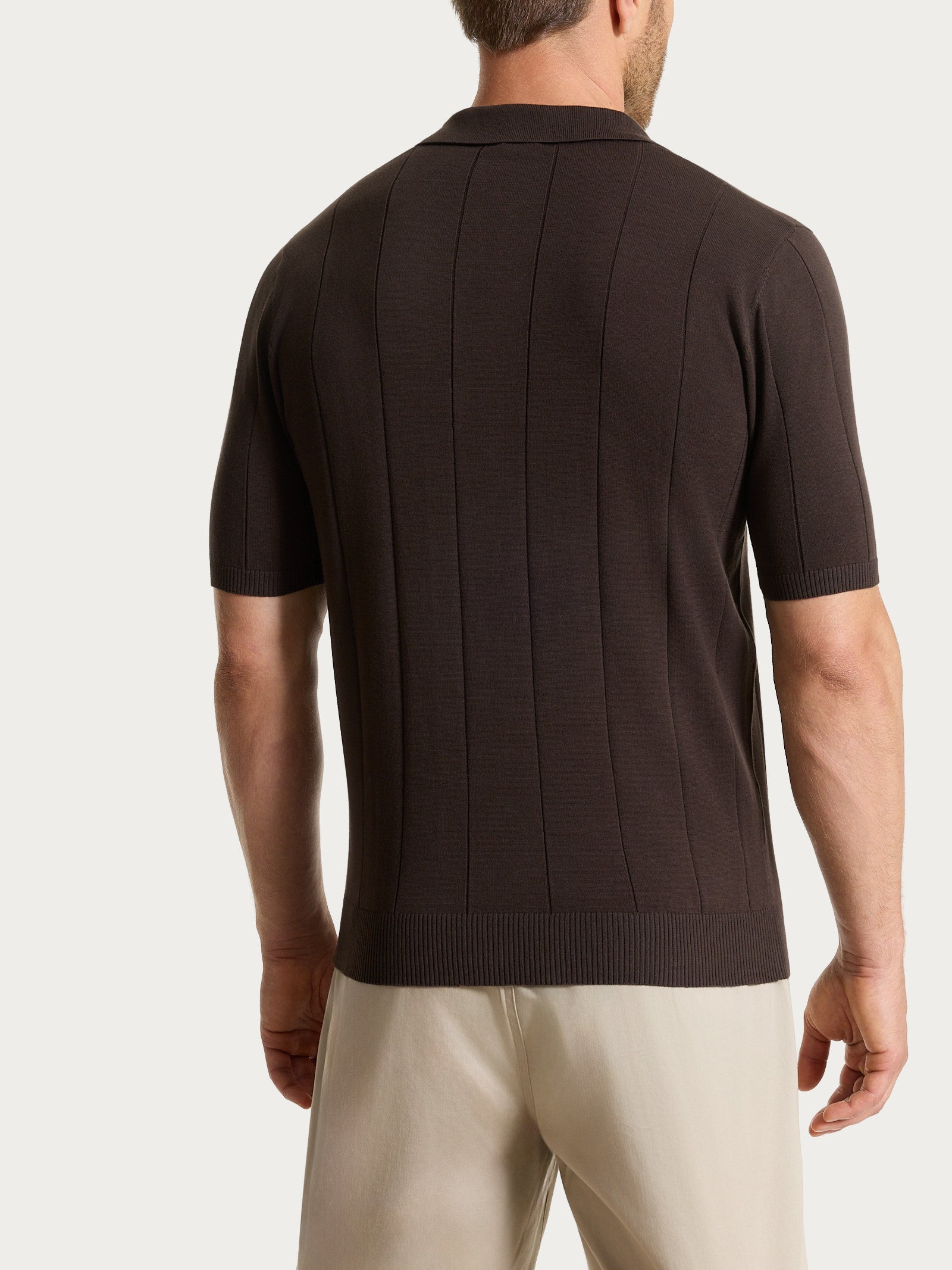 Polo con manica corta a costa piatta in Puro Cotone Marroni Uomo - Ragno