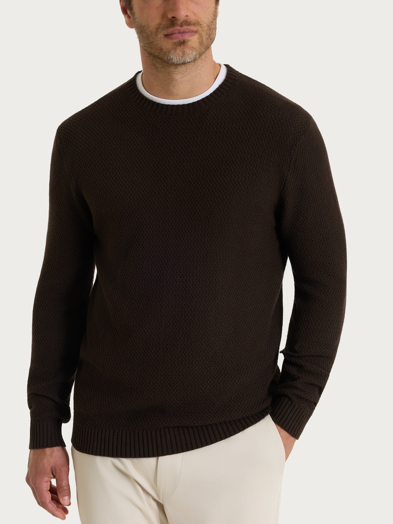 Maglia girocollo a punto maglia in Puro Cotone Marroni Uomo - Ragno