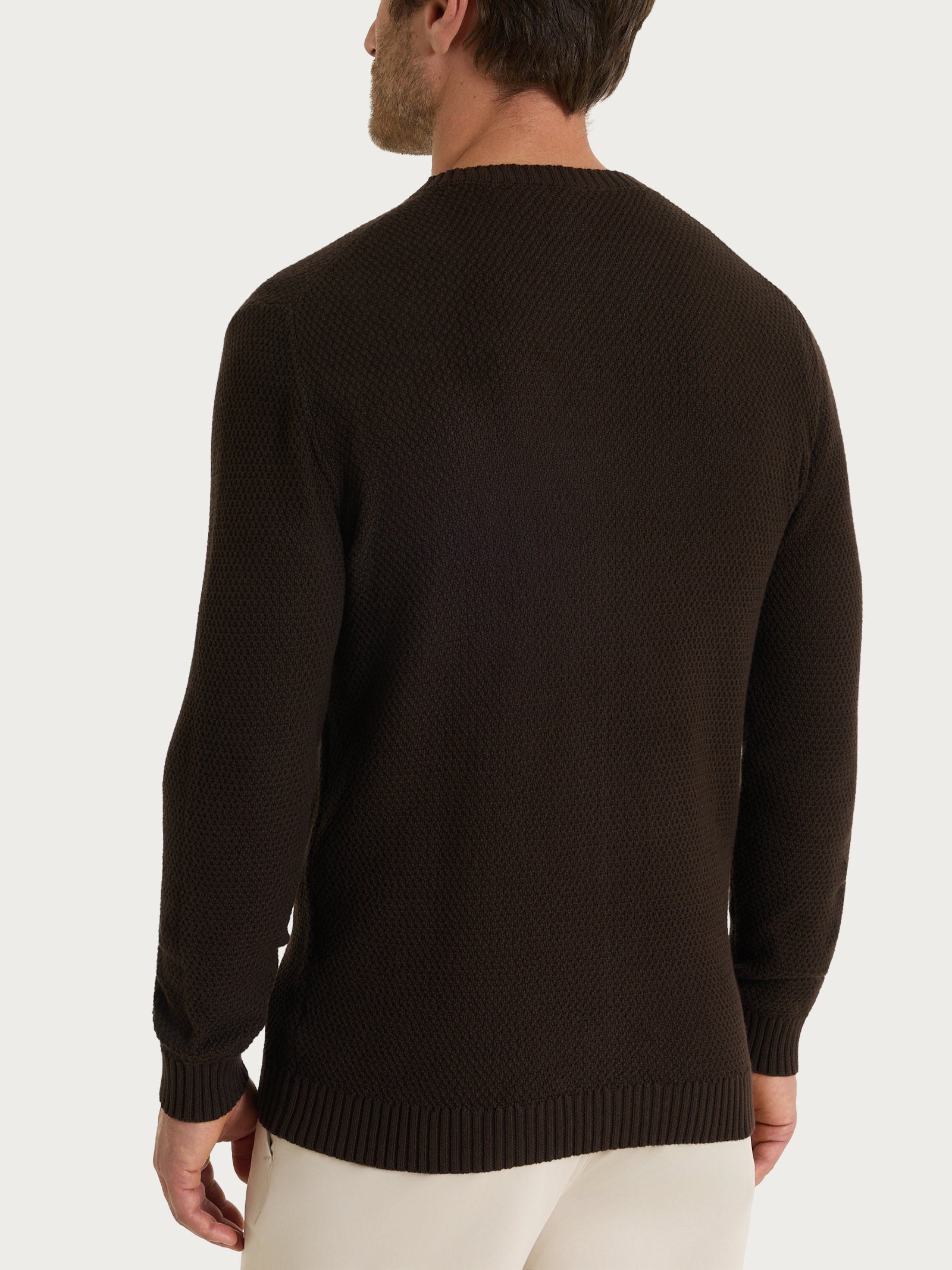 Maglia girocollo a punto maglia in Puro Cotone Marroni Uomo - Ragno