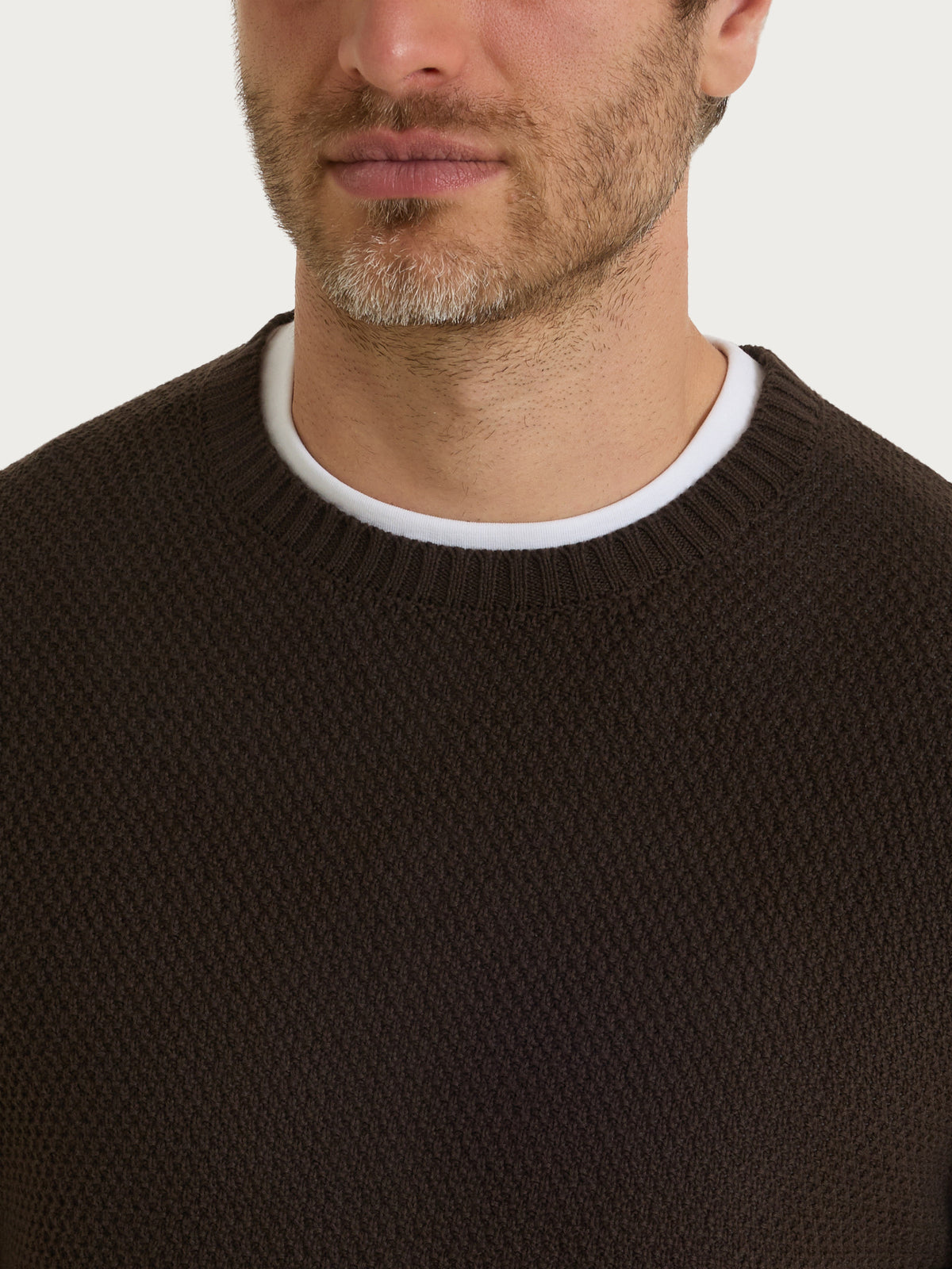 Maglia girocollo a punto maglia in Puro Cotone Marroni Uomo - Ragno